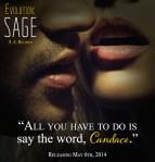 Muscular man in shadow